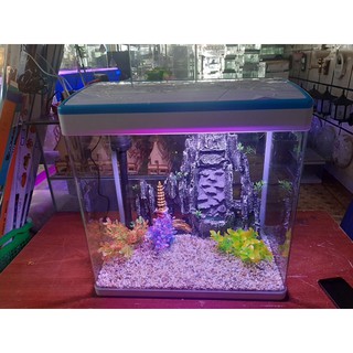 côm sờ bô bể cá đúc dài 46cm rộng28cm cao 48 cm có nắp có lọc có đèn có đồ trang trí