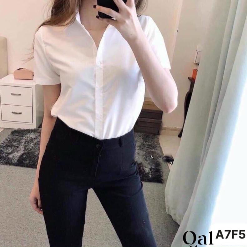 ÁO SƠ MI CỘC TAY trắng chất lụa chống nhăn, áo sơ mi công sở cổ đức dài tay dáng suông  _ảnh thật
