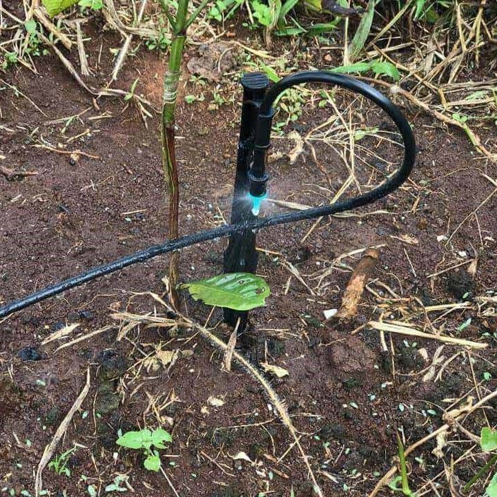 Ống nước phi 11mm dùng cho máy bơm mini, máy rửa xe mini 12v