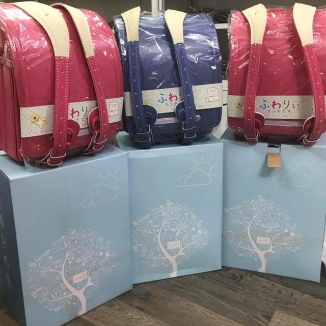 Cặp chống gù Nhật Bản
