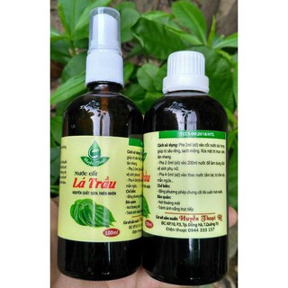 NƯỚC CẤT LÁ TRẦU KHÔNG – 100 ML