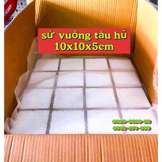 Sứ vuông, sứ tàu hũ, vật liệu lọc sứ lọc cao cấp cho bể cá cảnh 10x10x5cm