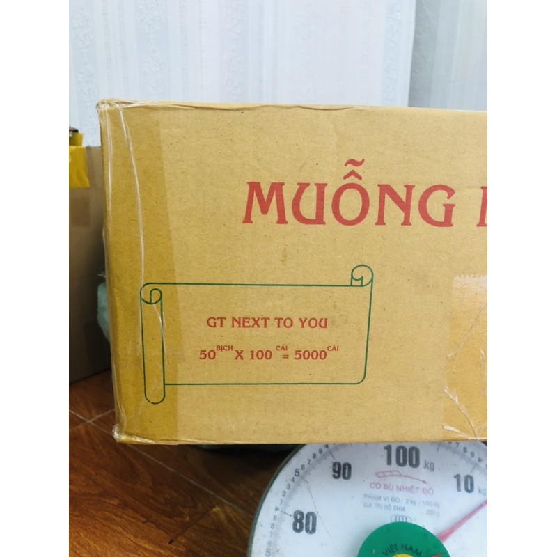 Thùng 5000 Chiếc Thìa Nhựa Trắng Dùng 1 Lần