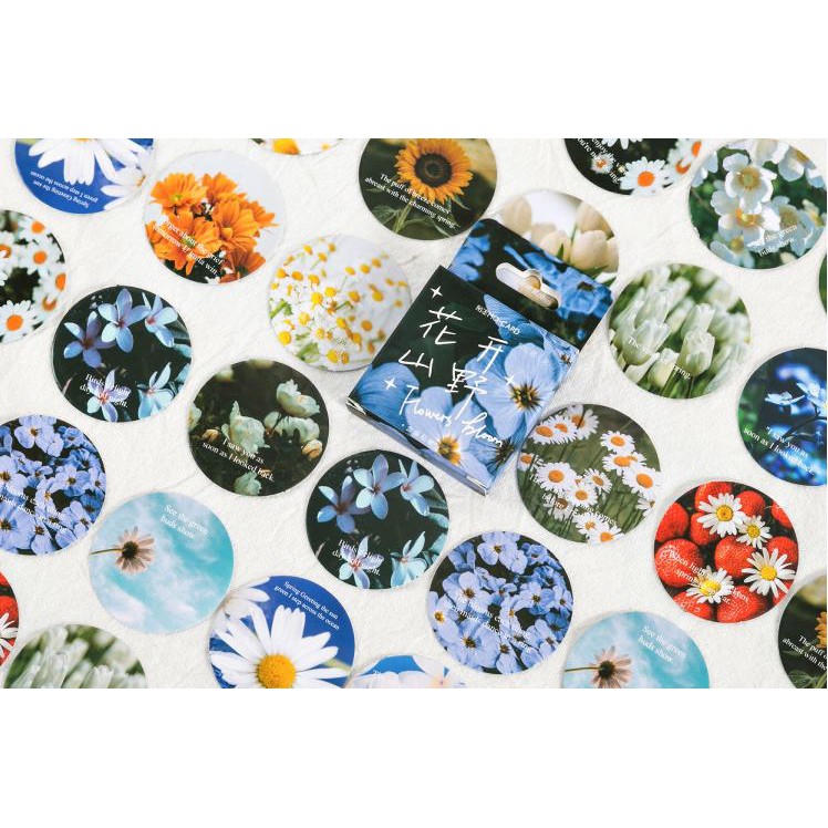 Bộ 45 Sticker Hàn Quốc Các Loài Hoa dán trang trí E93