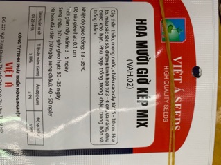 Hạt hoa mừoi giờ mix - Cây giống hoa 10h