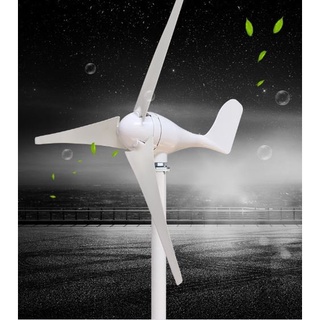 Tuabin Gió 500W/1000W, Tuabin Gió Trục Ngang, Máy Phát Điện Tuabin Gió, Giá Tuabin Gió, Tuabin Gió Cho Gia Đình