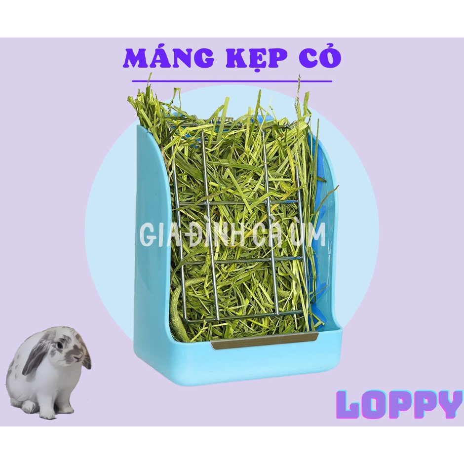 MÁNG KẸP CỎ dành cho sóc/ thỏ/ chuột lang