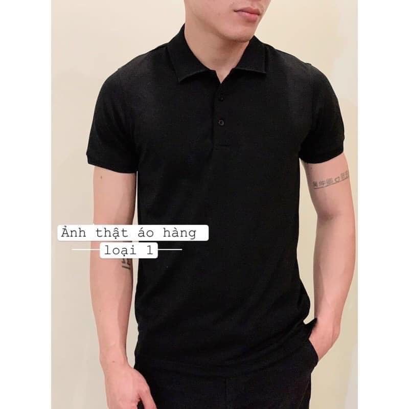 Áo Nam Cổ Bẻ 5 Màu Gavin Hàng Xuất Dư