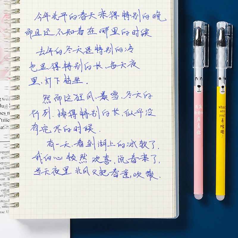 Set 20 Ruột Bút Bi Ngòi 0.5mm Có Thể Xóa Được Màu Đen / Xanh Dương 0.5mm