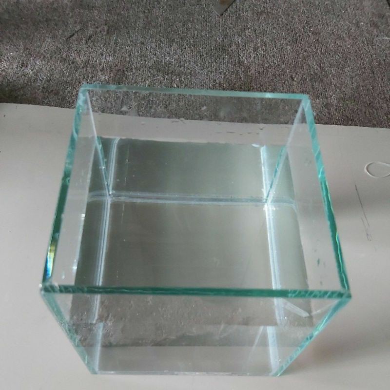 HỒ CÁ ĐỂ BÀN MINI , LÀM THỦY SINH , GIÁ RẺ