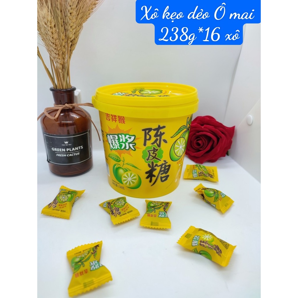 [ Sẵn hàng - Sale ] Kẹo ô mai vỏ quýt hộp 238gr