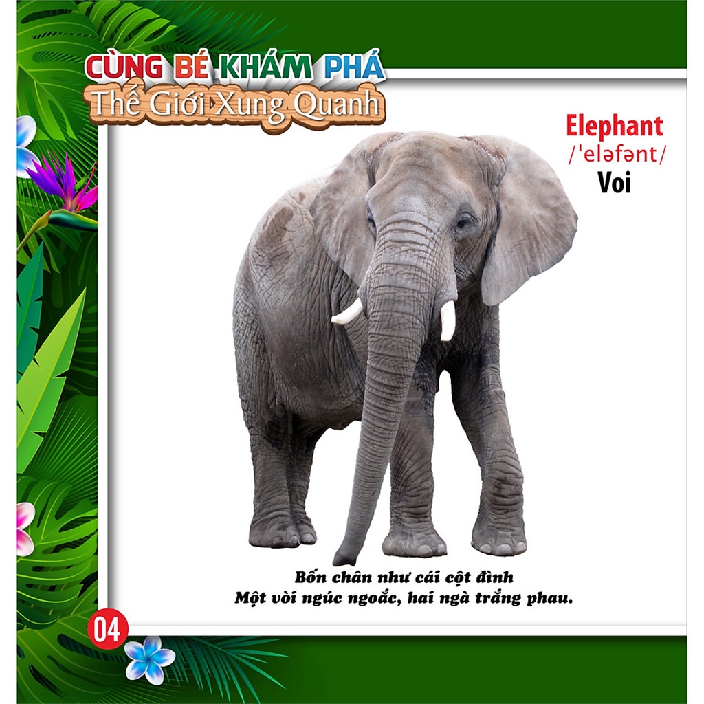 Sách - Cùng Bé Khám Phá Thế Giới Xung Quanh - Động Vật - Sách Song Ngữ