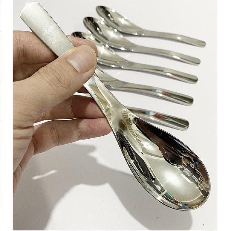 Set 5 Thìa INOX Cao Cấp Zwilling