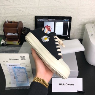 RO Thấp Hoa Cúc  Cao Cấp