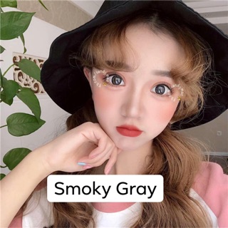 Smoky Gray Lens