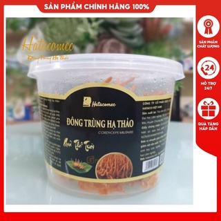 Đông Trùng Hạ Thảo Viện Công Nghệ Sinh Học Đại Học Lâm Nghiệp Hatacomec Đông trùng hạ thảo tươi nguyên hộp nuôi cấy