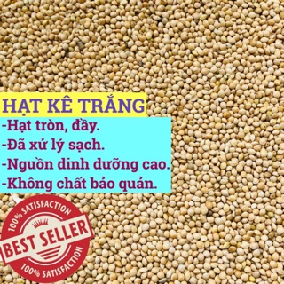 1KG KÊ TRẮNG MỸ CHO THÚ CƯNG(chim cảnh, hamster, sóc..)