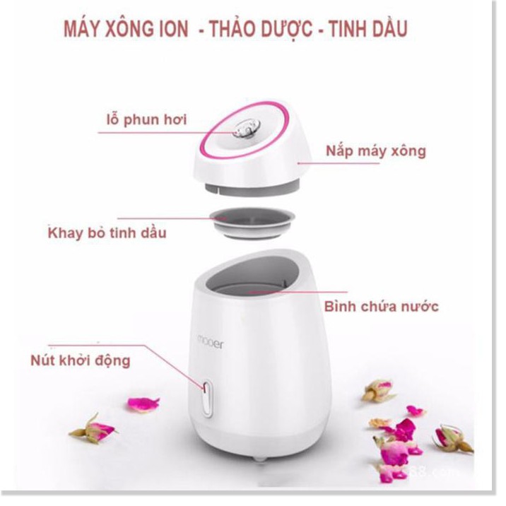 Máy xông  1 ĐỔI 1    Máy xông hơi mặt hoa quả tươi tự động 2 trong 1 làm sạch mặt và khử độc tố, trị mụn 4074