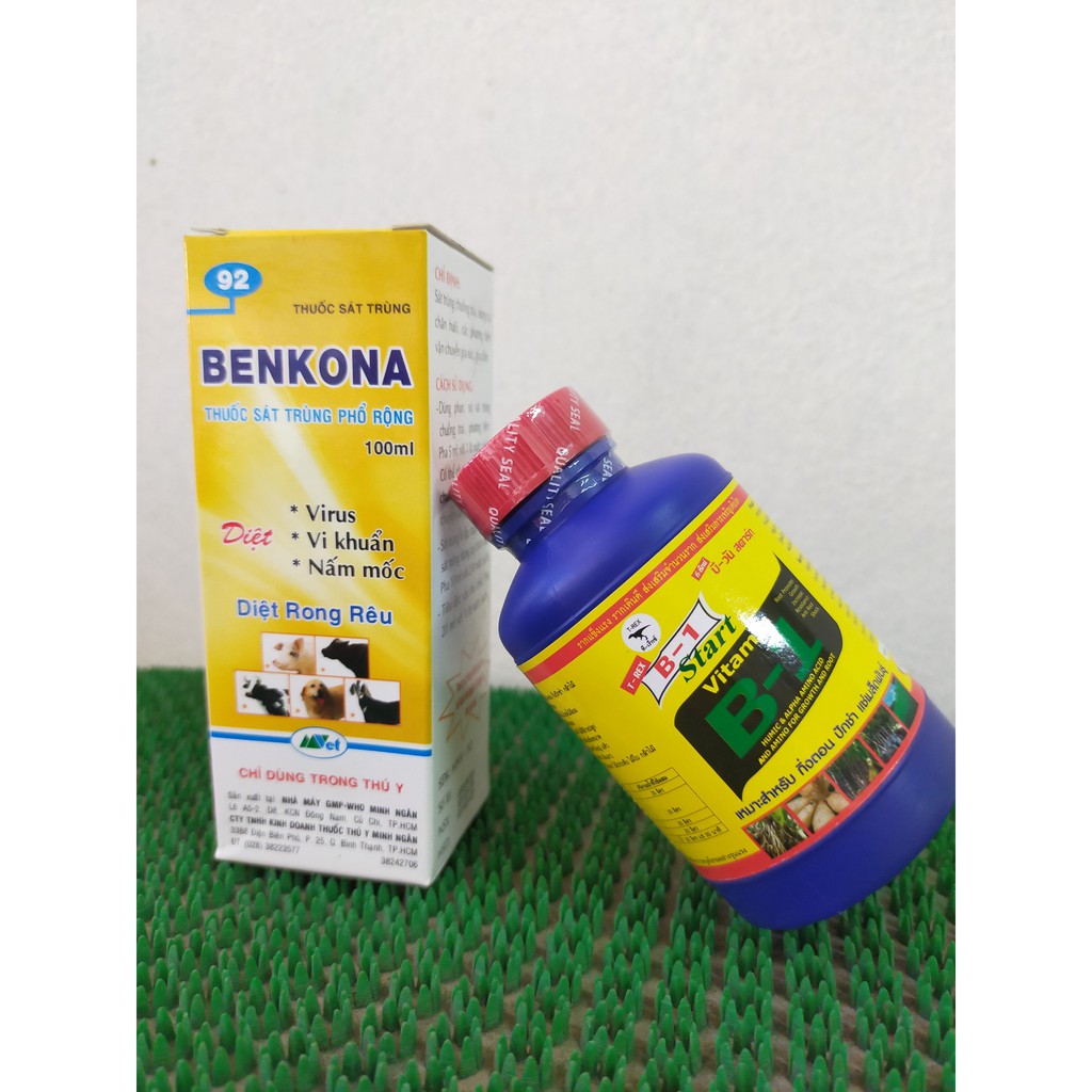 Combo B1 thái kích rễ + Bencona diệt rong rêu , virus, nấm mốc