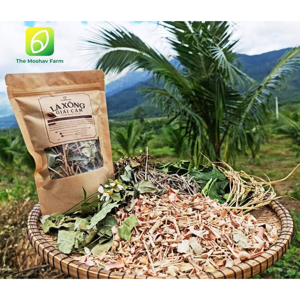 LÁ XÔNG THẢO MỘC GIẢI CẢM