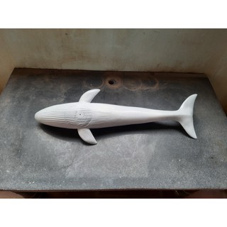 Cá Voi Trắng 45cm