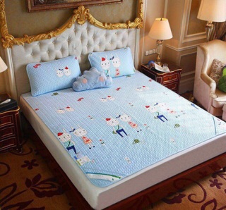 Chiếu điều hoà tencel loại 1 (100% hàng loại 1)