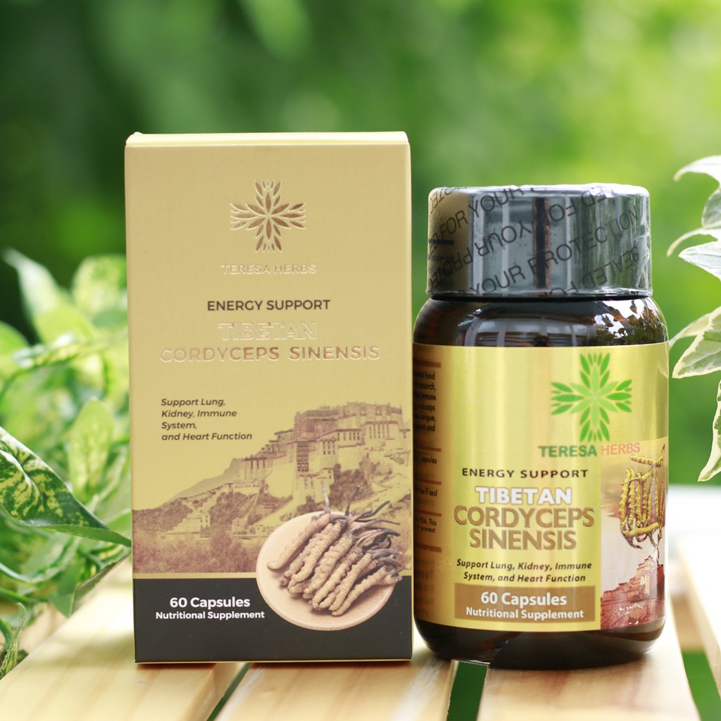 Viên uống Đông Trùng Hạ Thảo Tây Tạng (USA) - Teresa Herbs Tibetan Cordyceps Sinensis 60 Capsules Nutritional