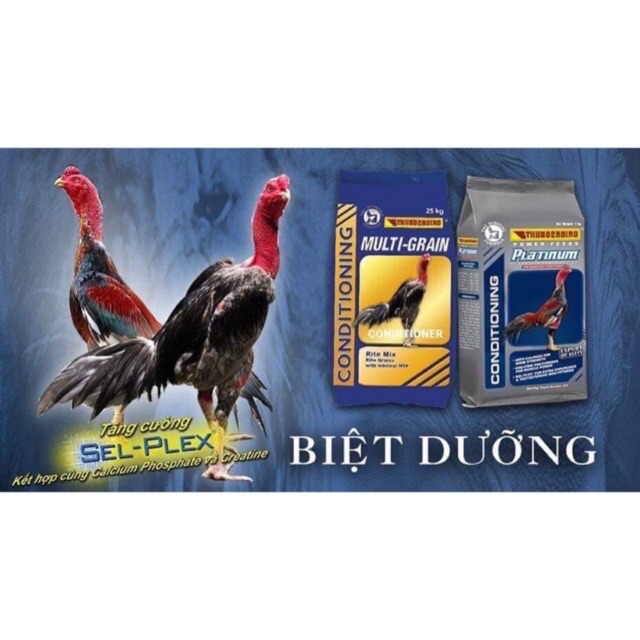 MUTI GRAIN CONDITIONER NGŨ CỐC CAO CẤP CHO GIAI ĐOẠN BIỆT DƯỠNG