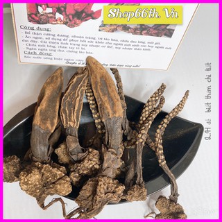 500G Nấm ngọc cẩu rừng khô loại nguyên búp ♥LOẠI ĐẸP♥ Nấm ngọc tỏa dương hàng chuẩn chất lượng