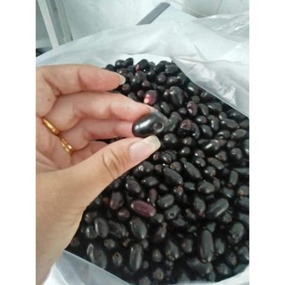 [FREESHIP - Xả Khô Máu] Cây Trâm Đen ..6 tháng cho trái