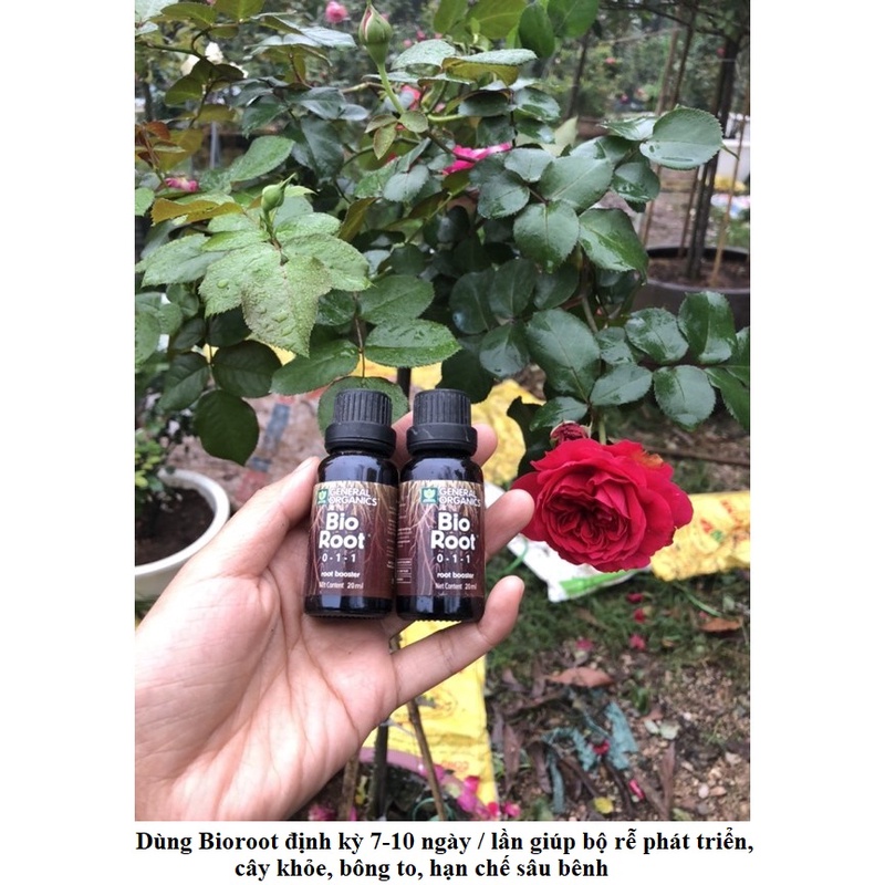 Chế phẩm kích rễ hữu cơ đặc biệt BIO ROOT 0-1-1 NK USA chai 100ml/ 50ml