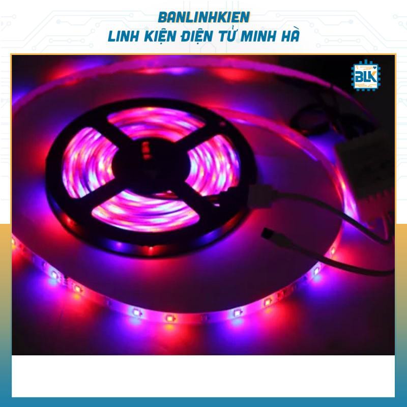 Led Dây 5050 RGB Trong Nhà (Cuộn 5M)