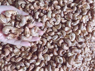 Điều Bình Phước