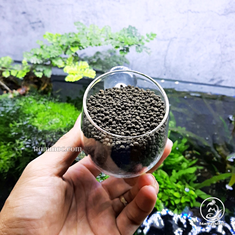 Cốc Trồng Cây Thủy Tinh  | Cốc Chứa Phân Nền Trồng Cây Trang Trí Cho Bể Cá, Bể Thủy Sinh