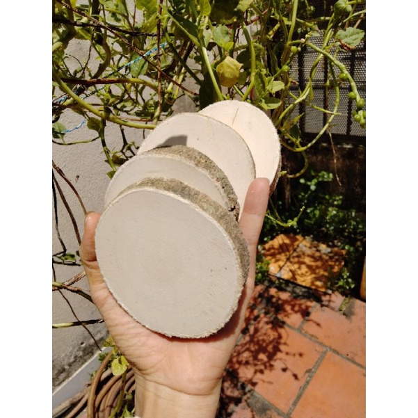 Set 20 lát gỗ trơn đk 6-8cm giá 65k