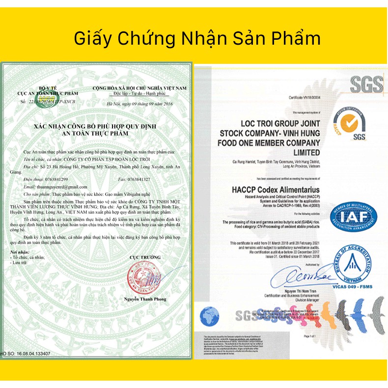 Gạo Mầm Vibigaba Nghệ Hạt Ngọc Trời Gói 1Kg - Tốt Cho Người Viêm Loét Dạ Dày, Tá Tràng, Viêm Gan, Tiểu Đường - Date mới