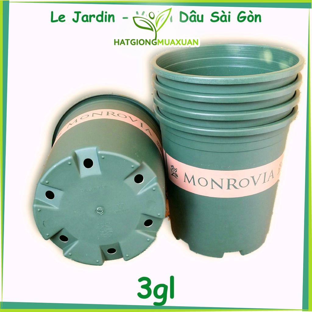 [HOT] COMBO 5 Chậu Nhựa Cao Cấp Monrovia 3gl &quot;24x26.5cm&quot; c/lượng, hg C/ty.
