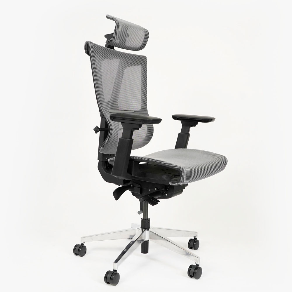 Ghế công thái học ergonomic Epione ErgoChair Pro (Cool Gray / Dark Gray / All Black) (Hàng chính hãng)