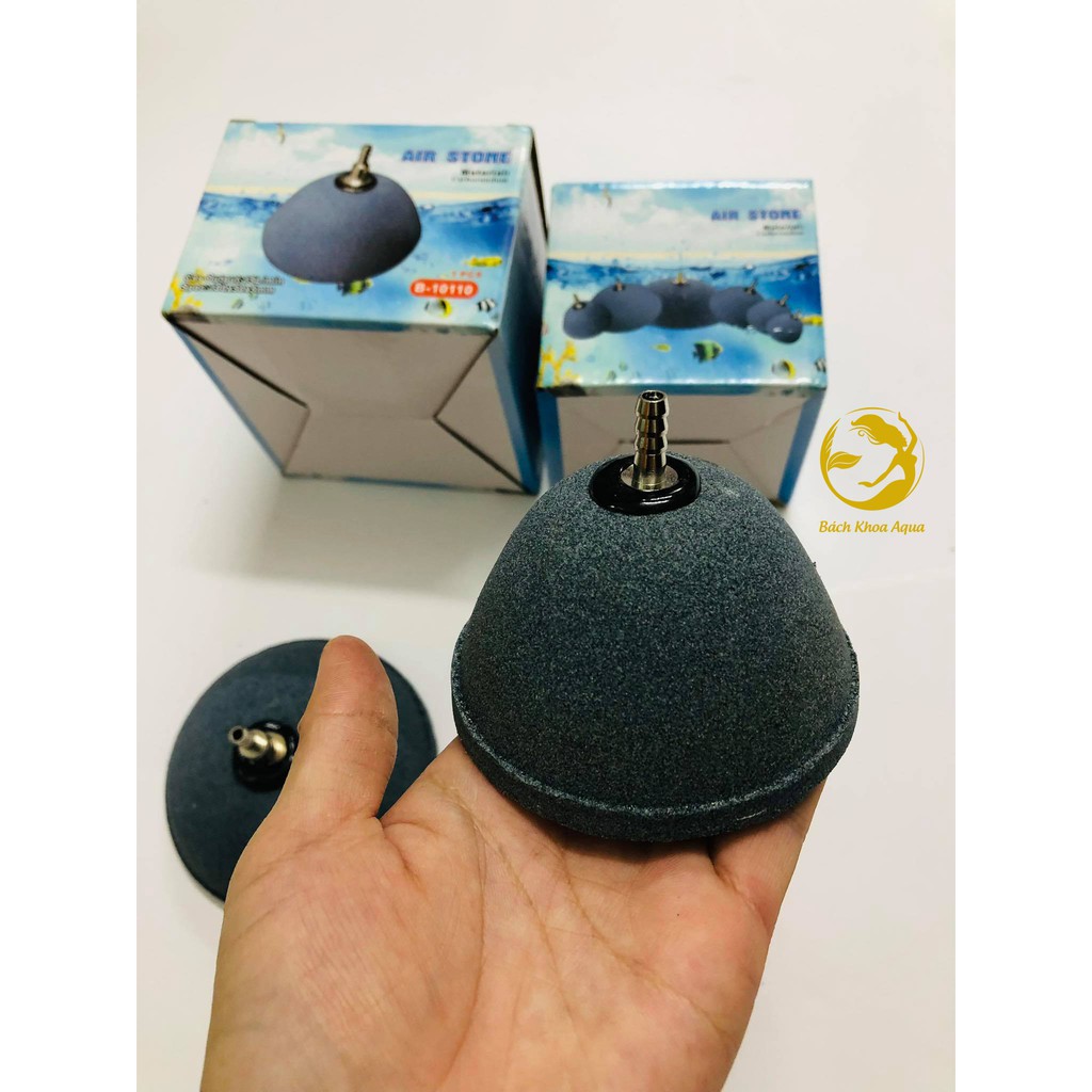 Quả sủi hình nón cho bể cá