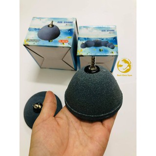 Quả sủi hình nón cho bể cá