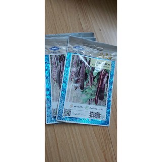 Đậu rồng tím thái lan