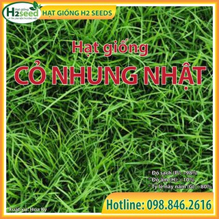 Hạt Giống Cỏ Nhung Nhật - Gói 100g - Hạt Cỏ Thảm Sân Vườn, Cỏ Công Trình