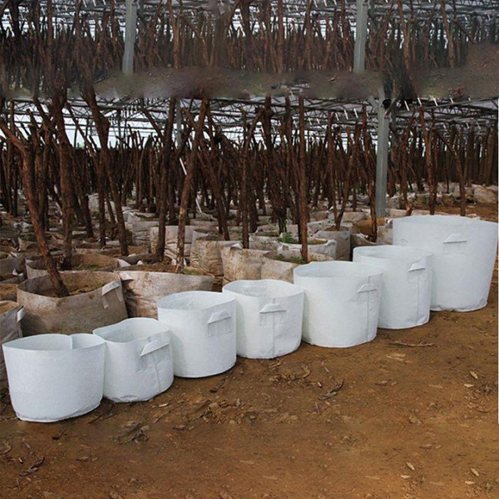 Túi vải trồng cây 2 quai xách kích thước 80x60cm