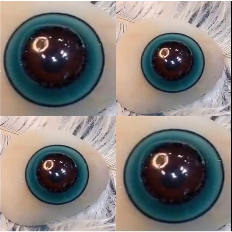 Set 2 Kính Áp Tròng Mắt Mèo 14.5MM Hóa Trang Halloween