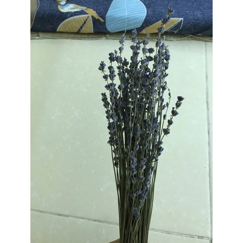 Bó 50 cành Hoa khô lavender, hoa khô oải hương