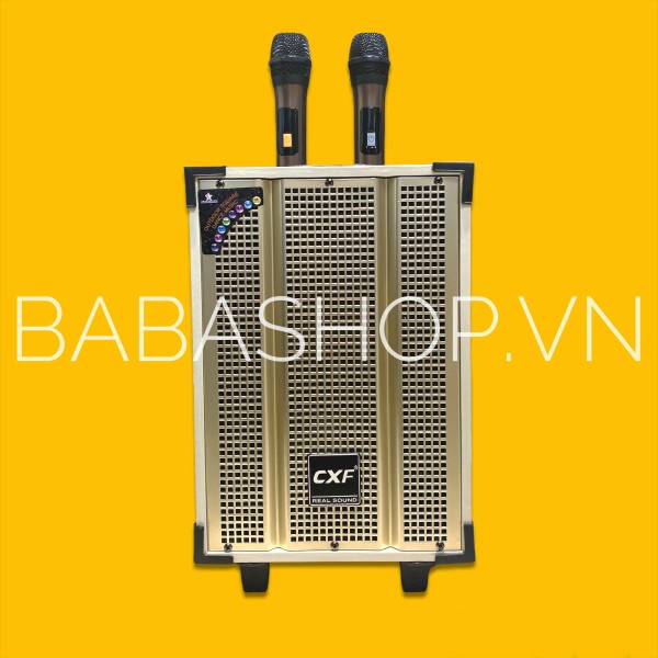 Loa Kéo Karaoke CXF GL-T8, Đi kèm 2 MICRO- Loa gỗ cao cấp - Công suất 150W- bảo hành 12 tháng