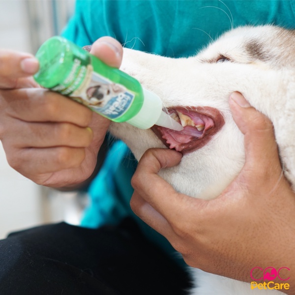 Gel Tropiclean cho Chó Mèo FREESHIP Fresh Breath Clean Teeth Oral Care Gel, loại bỏ cao răng, mảng bám, khử hôi miệng