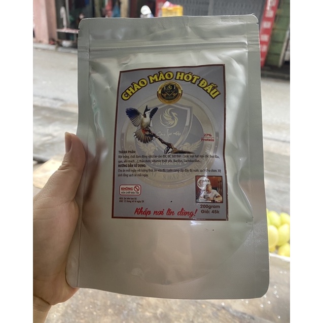 Cám chào mào hót đấu Lão Đại