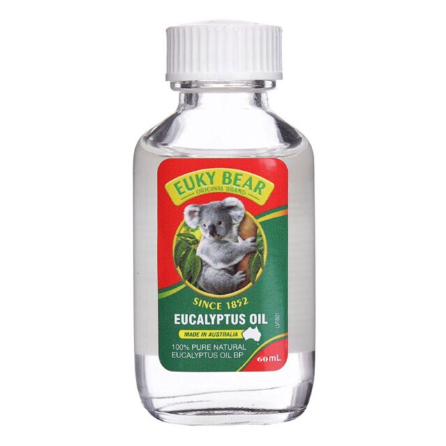 Tinh dầu khuynh diệp euky bear  - Tinh dầu tràm Úc