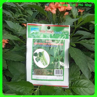 Hạt Giống Đậu Cove Hạt Trắng Dạng Leo Phú Nông - Gói 10g - Bean Cora White Seed, Pole Type